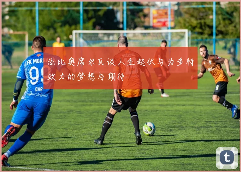 法比奥席尔瓦谈人生起伏与为多特效力的梦想与期待